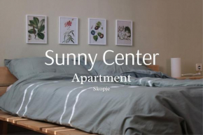 Sunny Center Apartment